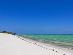AdobeStock_192757246
