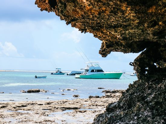 AdobeStock_290070031