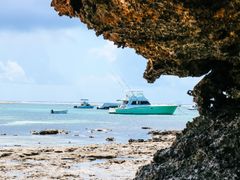 AdobeStock_290070031