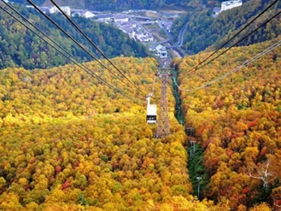 大雪山紅葉バスツアー 大雪山 黒岳＋大雪山銀泉台＋層雲峡 銀河・流星の滝 3つの紅葉絶景スポットを巡るコース＜9月・10月／札幌発着＞