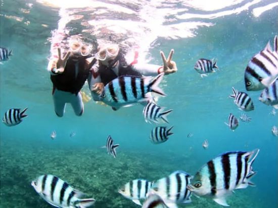 11000004565504_GLYZ5YdF_4