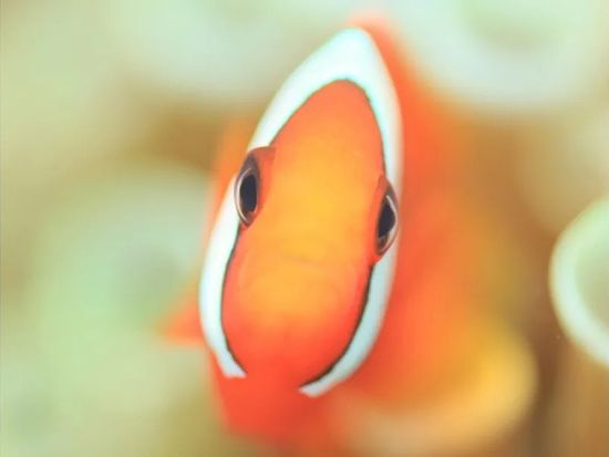 11000002430517_9TBSpIhb_4