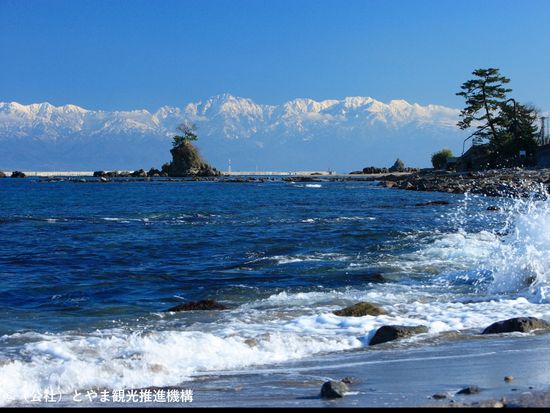 1DRUX_783ee664-d12d-4e72-bcdd-54