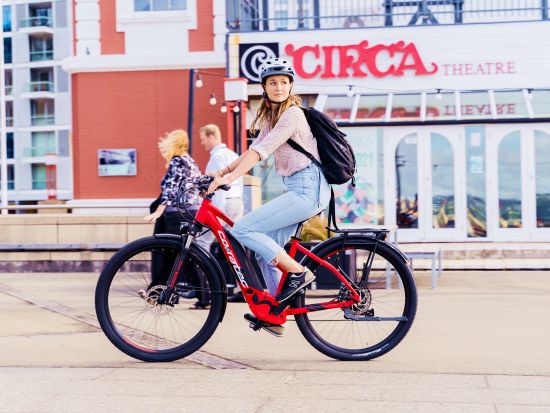 ウェリントンシティエリア電動自転車ツアー　博物館や国会議事堂など街のランドマークを爽快にめぐる！＜2～2.5時間／約13km／英語ガイド＞