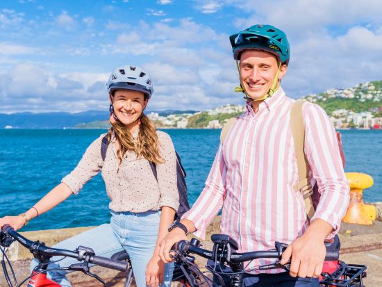 ウェリントンシティエリア電動自転車ツアー　博物館や国会議事堂など街のランドマークを爽快にめぐる！＜2～2.5時間／約13km／英語ガイド＞