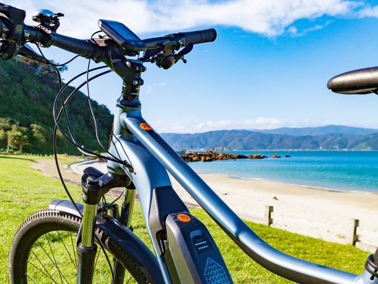 Bike and battery at Scorching Bay