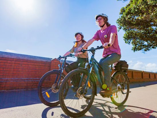 ウェリントンシティエリア電動自転車ツアー　博物館や国会議事堂など街のランドマークを爽快にめぐる！＜2～2.5時間／約13km／英語ガイド＞
