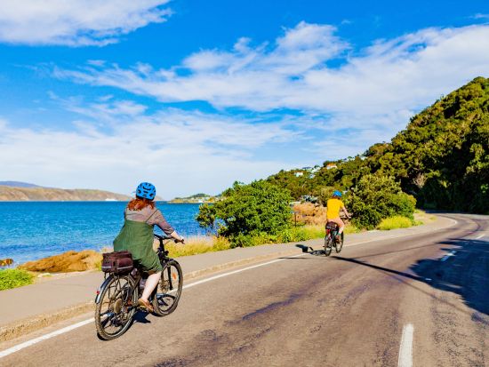ウェリントンベイエリア電動自転車ツアー　ウェリントン周辺の美しい丘陵地帯やオリエンタルベイの絶景を満喫！＜3～4時間／約25km／英語ガイド＞