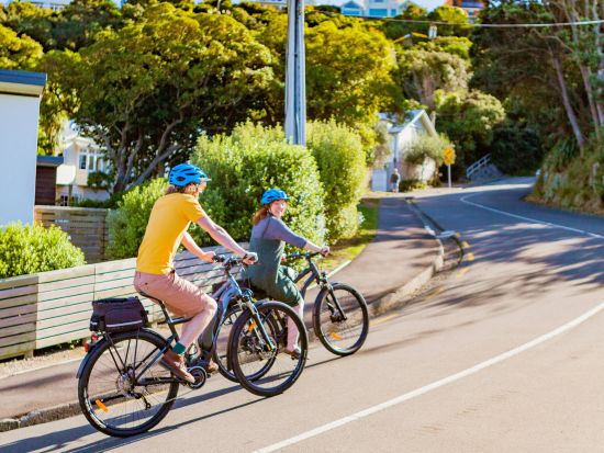 ウェリントンベイエリア電動自転車ツアー　ウェリントン周辺の美しい丘陵地帯やオリエンタルベイの絶景を満喫！＜3～4時間／約25km／英語ガイド＞