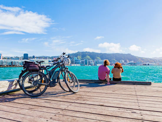 Looking out from Oriental Bay