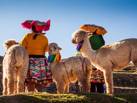 世界遺産マチュピチュ遺跡 入場チケット事前予約＜入場券のみ／マチュピチュ村からの往復バスチケット手配オプションあり／遺跡内の日本語ガイド追加オプションあり＞