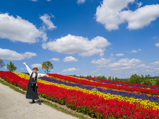 札幌発 富良野・美瑛 日帰りバスツアー ファーム富田＋青い池 夏季限定でメロン食べ放題付きプランもあり＜6月～9月／昼食付／1名から催行／札幌市内発着＞