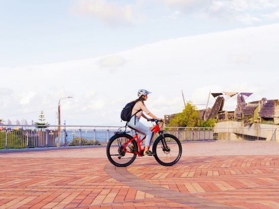 ウェリントン自転車レンタル　自分たちのペースでウェリントンを自由にめぐる！＜1日or半日＆電動or普通自転車など選べるプラン＞