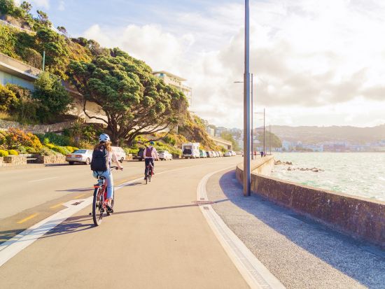 ウェリントン自転車レンタル　自分たちのペースでウェリントンを自由にめぐる！＜1日or半日＆電動or普通自転車など選べるプラン＞