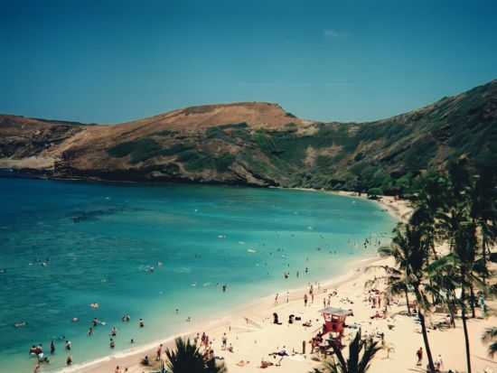 オアフ島半日観光　東海岸人気絶景スポットを巡る！ ダイアモンドヘッド＋ハナウマ湾ルックアウト＋ココクレーター植物園など＜午前・午後／日本語ガイド＞ 