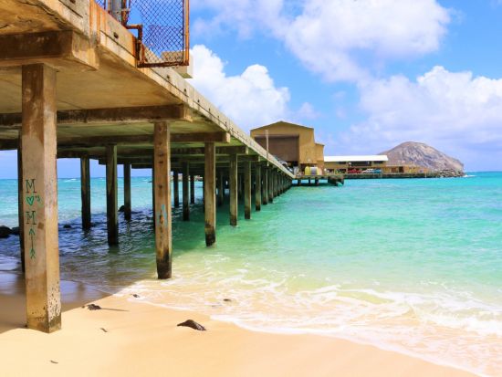 オアフ島半日観光　東海岸人気絶景スポットを巡る！ ダイアモンドヘッド＋ハナウマ湾ルックアウト＋ココクレーター植物園など＜午前・午後／日本語ガイド＞ 