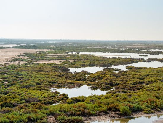 AdobeStock_408764332