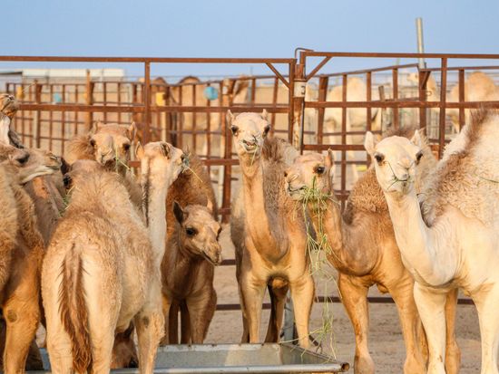 AdobeStock_656513830