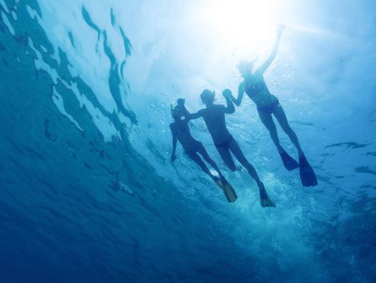 ウミガメシュノーケリングツアー　奄美大島でウミガメを探す冒険の旅 ＜2時間／笠利町＞  by KAZBO Surf and SUP