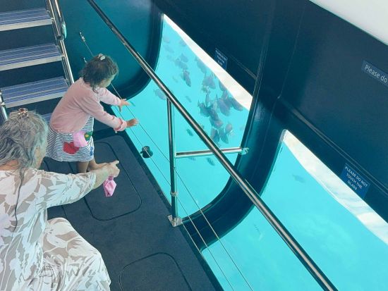 マウイ島シュノーケリング＆セーリングツアー　コーラルガーデンまたはモロキニ島でシュノーケリング！グラスボトムルームから海中も見学＜ランチ付き／英語ガイド＞