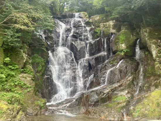ハイヤー貸切日帰りツアー 大自然、SNS映えスポット、歴史的建造物など糸島半島の魅力満載の観光スポットへご案内！＜7.5時間／1日1組限定／福岡市・糸島市＞
