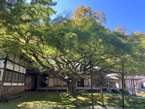 ハイヤー貸切日帰りツアー 大自然、SNS映えスポット、歴史的建造物など糸島半島の魅力満載の観光スポットへご案内！＜7.5時間／1日1組限定／福岡市・糸島市＞