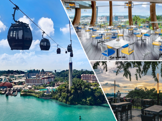 シンガポールケーブルカー乗車券＋Arboraでの食事付きパッケージ＜日付指定なし／キッズメニューあり＞