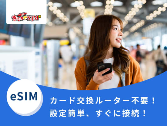 esim_DDM_logo_down