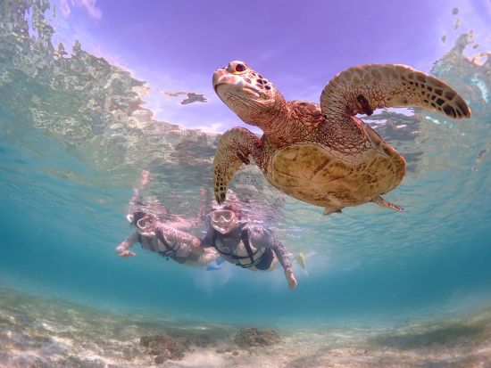 サンセットSUP&貸切ウミガメシュノーケル 1日1組限定！美しい夕日に包まれた空間でSUP体験を楽しむ＜撮影データ無料／約2～3時間／宮古島＞