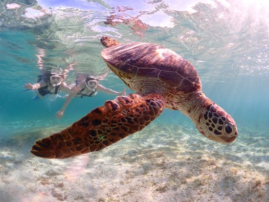 サンセットSUP&貸切ウミガメシュノーケル 1日1組限定！美しい夕日に包まれた空間でSUP体験を楽しむ＜撮影データ無料／約2～3時間／宮古島＞