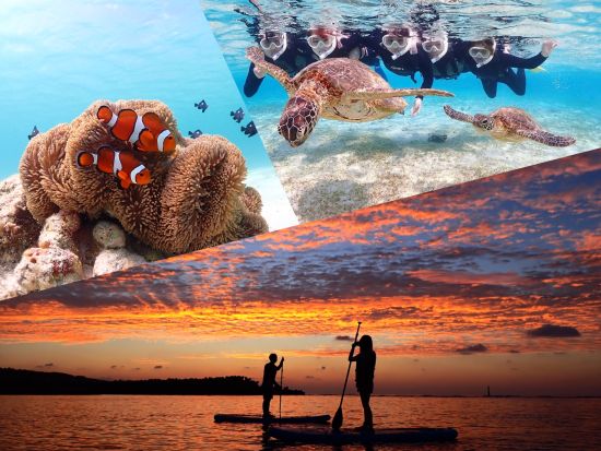 サンセットSUP&貸切ウミガメシュノーケル 1日1組限定！美しい夕日に包まれた空間でSUP体験を楽しむ＜撮影データ無料／約2～3時間／宮古島＞