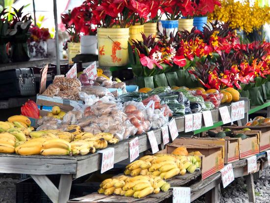 shutterstock_151686704