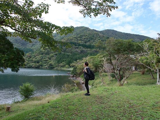 ウォーキングツアー 箱根の公園や芦ノ湖沿いをハイキング 3歳から参加OK＜午前／ハコネマウンテンリッパー／箱根＞