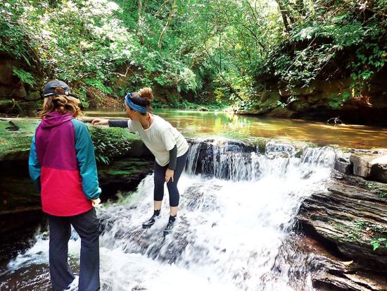 マイラ川マングローブカヌー＋鍾乳洞探検ツアー　西表島のジャングル遊びを大満喫！＜大原港または東部地区無料送迎／西表島＞