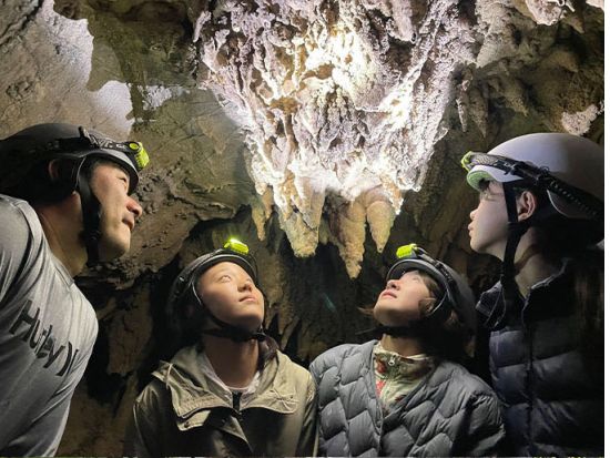 【貸切】自然観察指導員資格を持ついきものに詳しいガイドと行くプライベートツアー　生き物観察を楽しもう！ランチとおやつ付＜1日／無料送迎あり／西表島＞