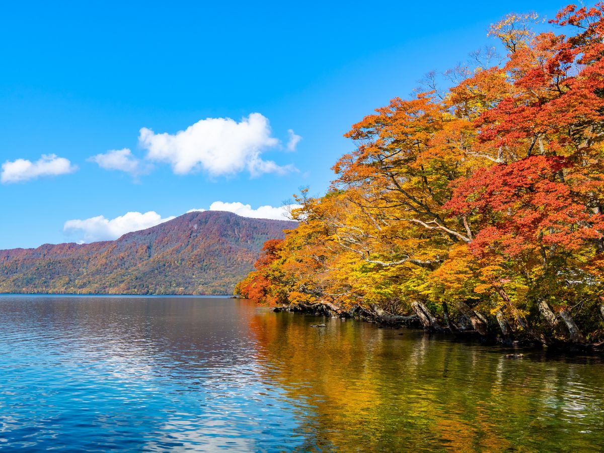 紅葉の奥入瀬渓流.青森県十和田湖 奥入瀬渓流の紅葉(青森県) ｜紅葉名所2024