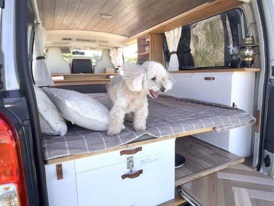 沖縄キャンピングカーレンタル 沖縄の自然を満喫！移動が感動に変わる旅へ ＜自由な車中泊／6人乗り／1泊2日～／ペット可プランあり＞