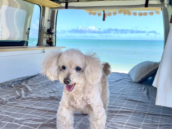 GPTempDownload (2) (1)