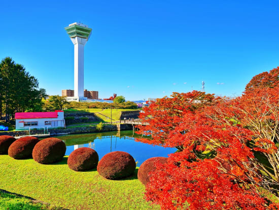 貸切観光タクシー 函館人気観光地トラピスチヌ修道院・五稜郭公園・金森倉庫群赤レンガ倉庫などをめぐる旅＜3時間／1～9名／函館市内ホテル・空港送迎可／函館市＞ 