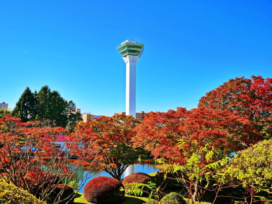 貸切観光タクシー 函館・大沼絶景よくばり観光プラン 五稜郭タワー+大沼公園+ハリトリス正教会＜1～9名／4～5時間／函館発着＞