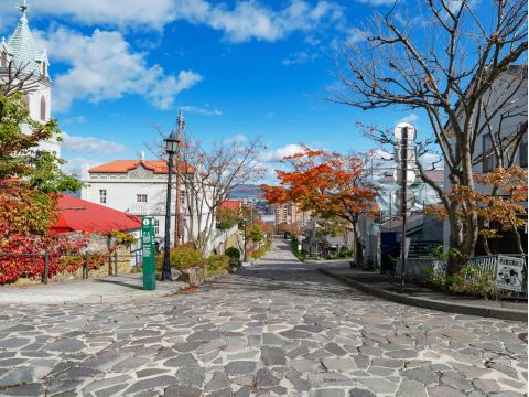 貸切観光タクシー 函館坂道めぐりの旅 函館の19の坂、そして地元の人だけが知る景色をご案内！＜1～9名／1時間／函館市内発着＞ by 道南ハイヤー