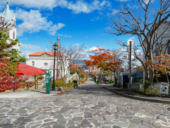 貸切観光タクシー 函館坂道めぐりの旅 函館の19の坂、そして地元の人だけが知る景色をご案内！＜1～9名／1時間／函館市内発着＞ by 道南ハイヤー