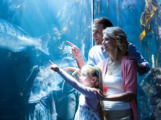 Aquarium_shutterstock_281732612