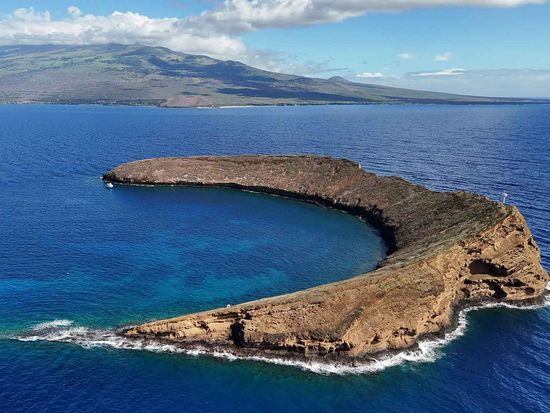 shutterstock_2498037883