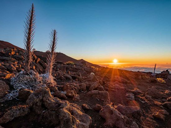 shutterstock_1541612672