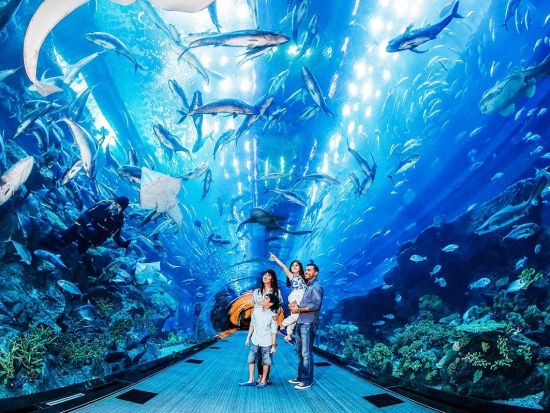 ブルジュ・ハリファ展望台「アット・ザ・トップ・シルバー（124・125階）」入場チケット＋ドバイ水族館