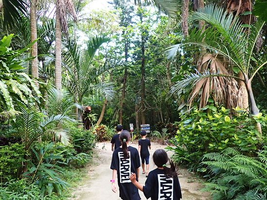 由布島　植物園 横