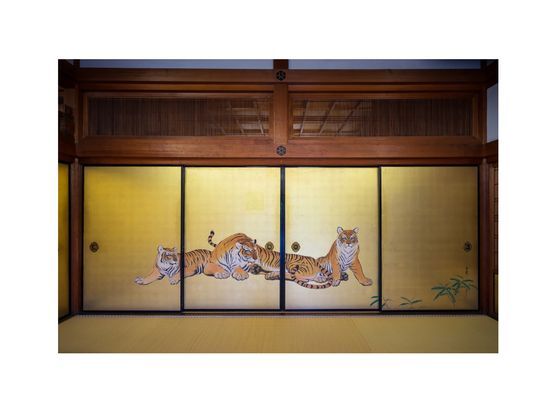 水野克比古｜金戒光明寺：｜_08_171402320_a7R