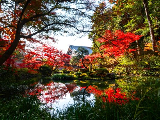 【金戒光明寺 秋の特別拝観】らくたびプレミアムガイド 会津藩・新選組ウォーキングツアー ＜2025年11月15日～12月7日／金土日祝限定／拝観料込＞
