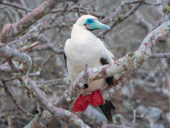 AdobeStock_306620667